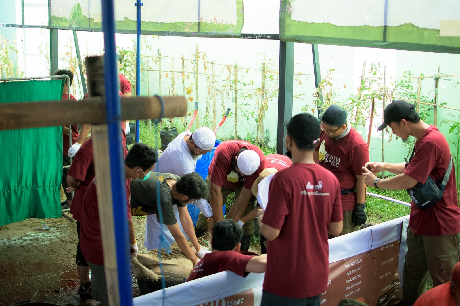 Dokumentasi Tebar Qurban