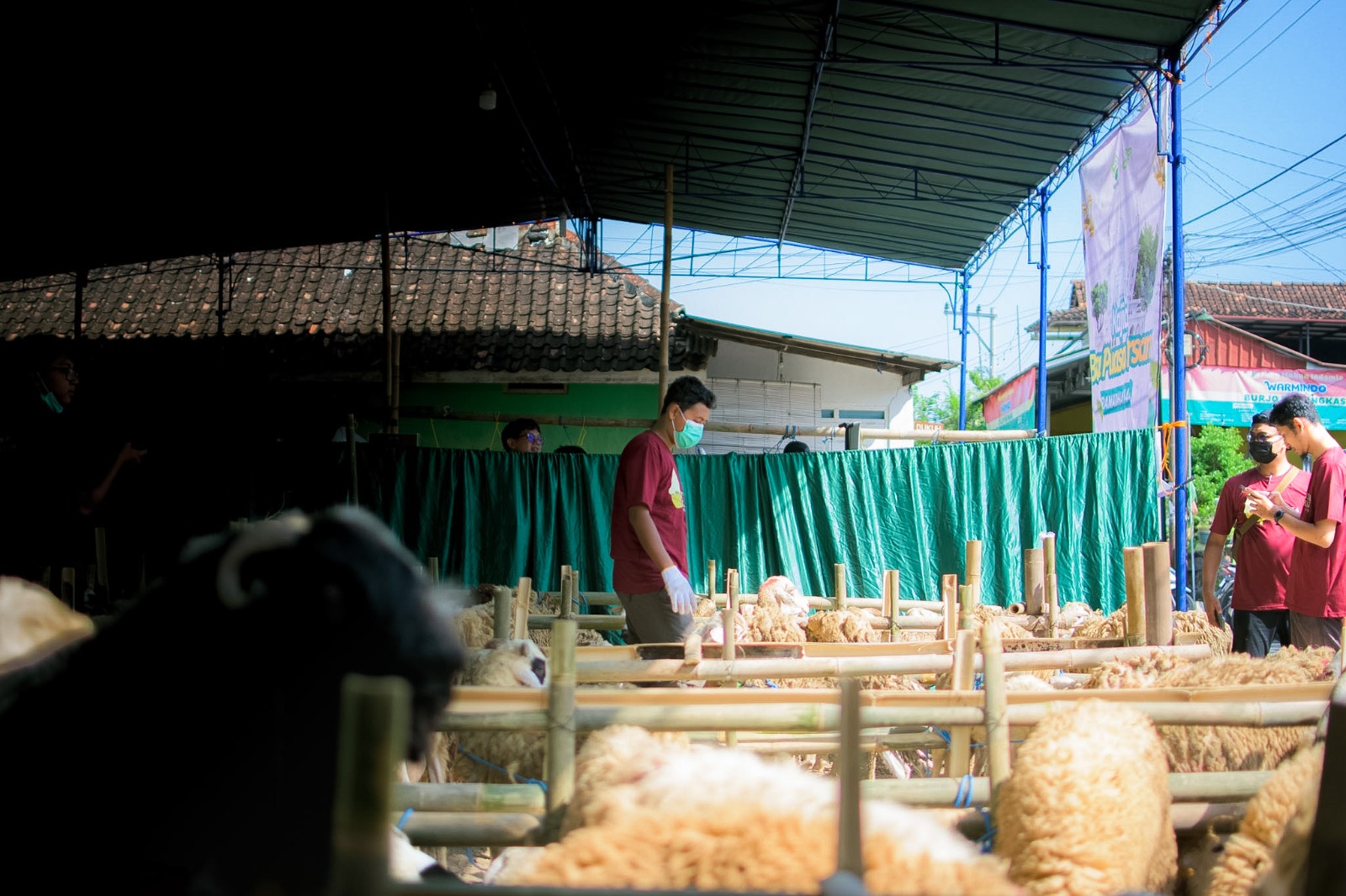 Dokumentasi Tebar Qurban