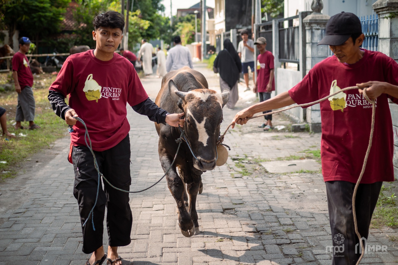 Tebar Qurban 1447 H
