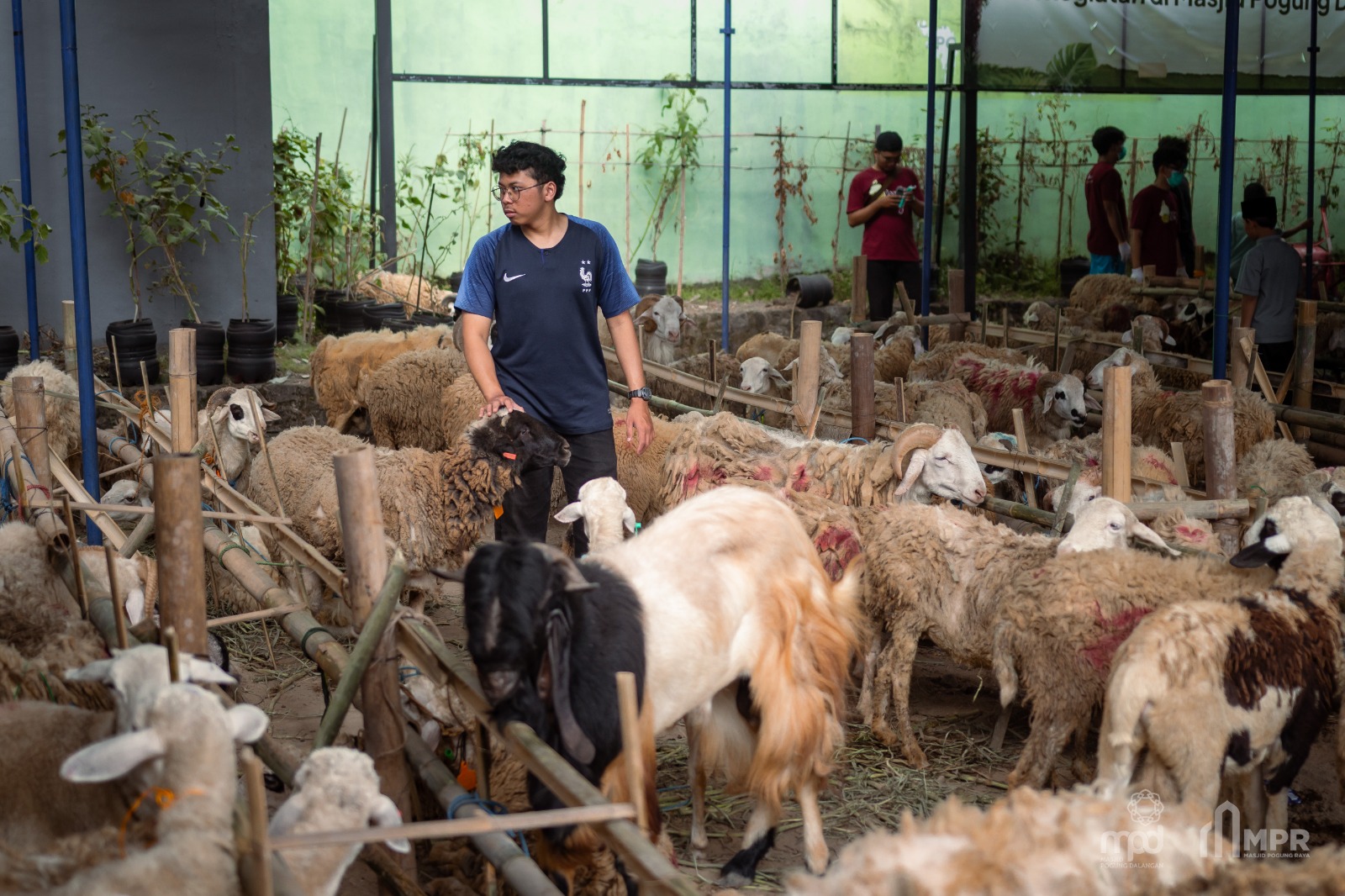 Dokumentasi Tebar Qurban