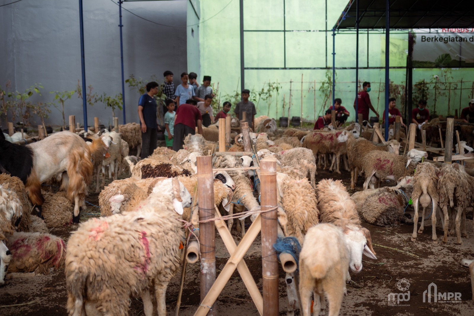 Dokumentasi Tebar Qurban